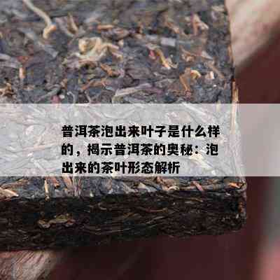 普洱茶泡出来叶子是什么样的，揭示普洱茶的奥秘：泡出来的茶叶形态解析