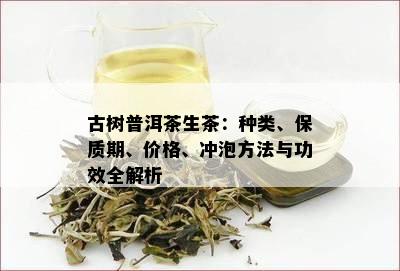 古树普洱茶生茶：种类、保质期、价格、冲泡方法与功效全解析