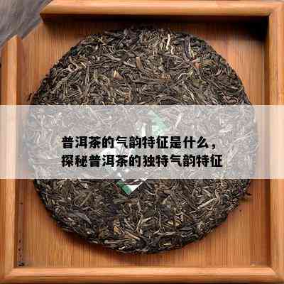 普洱茶的气韵特征是什么，探秘普洱茶的独特气韵特征