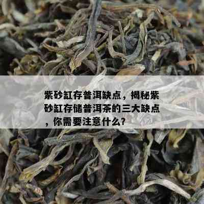 紫砂缸存普洱缺点，揭秘紫砂缸存储普洱茶的三大缺点，你需要注意什么？