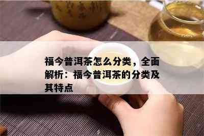 福今普洱茶怎么分类，全面解析：福今普洱茶的分类及其特点