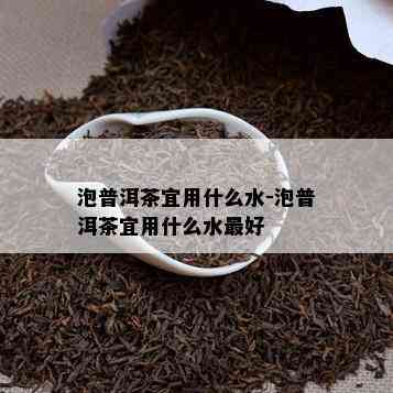 泡普洱茶宜用什么水-泡普洱茶宜用什么水更好