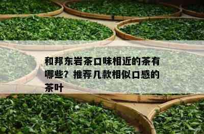 和邦东岩茶口味相近的茶有哪些？推荐几款相似口感的茶叶