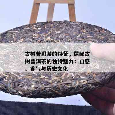 古树普洱茶的特征，探秘古树普洱茶的独特魅力：口感、香气与历史文化