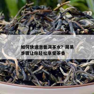 如何快速泡普洱茶水？简易步骤让你轻松享受茶香