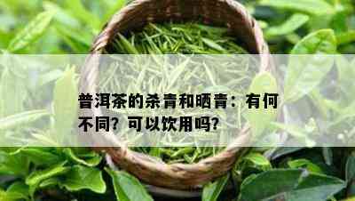 普洱茶的杀青和晒青：有何不同？可以饮用吗？