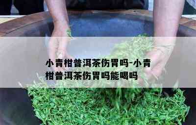 小青柑普洱茶伤胃吗-小青柑普洱茶伤胃吗能喝吗