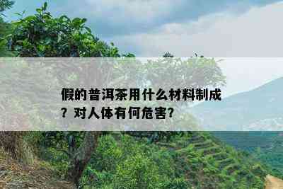 假的普洱茶用什么材料制成？对人体有何危害？