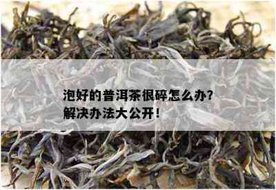 泡好的普洱茶很碎怎么办？解决办法大公开！