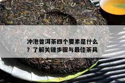 冲泡普洱茶四个要素是什么？熟悉关键步骤与更佳茶具