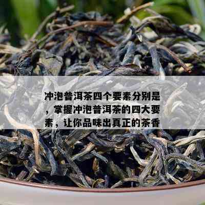 冲泡普洱茶四个要素分别是，掌握冲泡普洱茶的四大要素，让你品味出真正的茶香