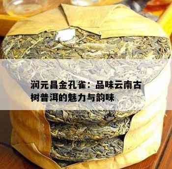 润元昌金孔雀：品味云南古树普洱的魅力与韵味