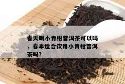 春天喝小青柑普洱茶可以吗，春季适合饮用小青柑普洱茶吗？