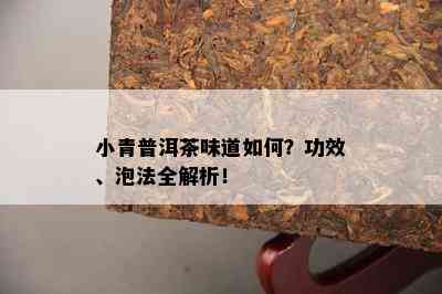 小青普洱茶味道怎样？功效、泡法全解析！