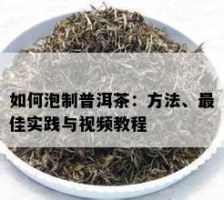 如何泡制普洱茶：方法、更佳实践与视频教程