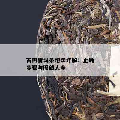 古树普洱茶泡法详解：正确步骤与图解大全