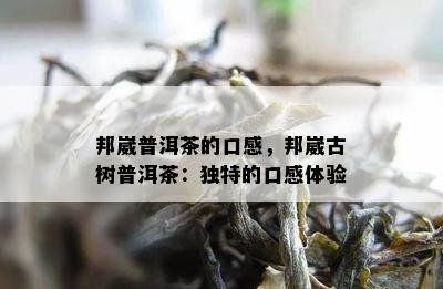 邦崴普洱茶的口感，邦崴古树普洱茶：独特的口感体验