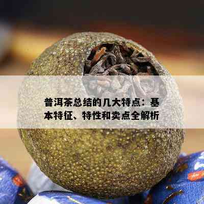 普洱茶总结的几大特点：基本特征、特性和卖点全解析