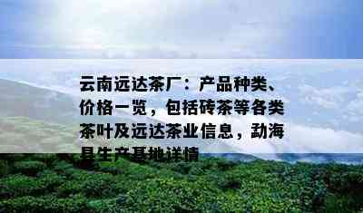 云南远达茶厂：产品种类、价格一览，包含砖茶等各类茶叶及远达茶业信息，勐海县生产基地详情