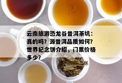 云南旅游恐龙谷普洱茶坑：真的吗？源普洱品质怎样？世界纪念饼介绍，门票价格多少？