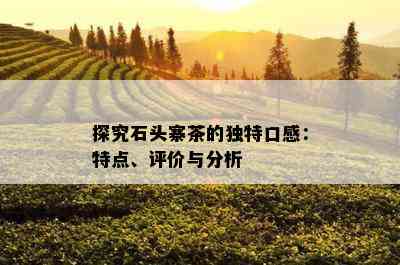 探究石头寨茶的特别口感：特点、评价与分析