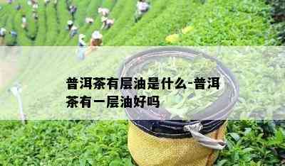 普洱茶有层油是什么-普洱茶有一层油好吗