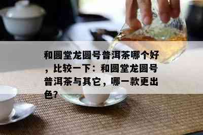 和圆堂龙圆号普洱茶哪个好，比较一下：和圆堂龙圆号普洱茶与其它，哪一款更出色？