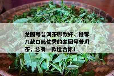 龙园号普洱茶哪款好，推荐几款口感优秀的龙园号普洱茶，总有一款适合你！