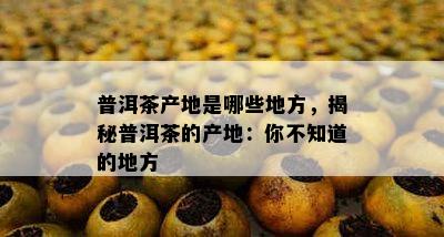 普洱茶产地是哪些地方，揭秘普洱茶的产地：你不知道的地方