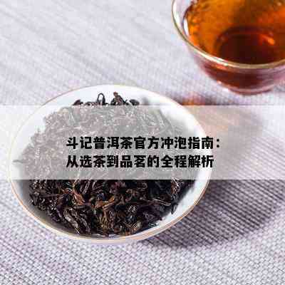 斗记普洱茶官方冲泡指南：从选茶到品茗的全程解析