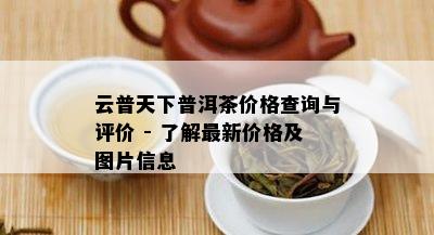 云普天下普洱茶价格查询与评价 - 熟悉最新价格及图片信息