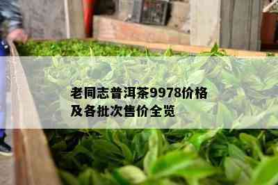 老同志普洱茶9978价格及各批次售价全览