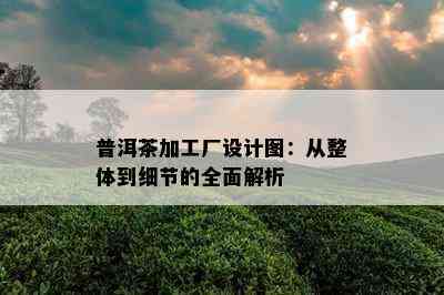 普洱茶加工厂设计图：从整体到细节的全面解析