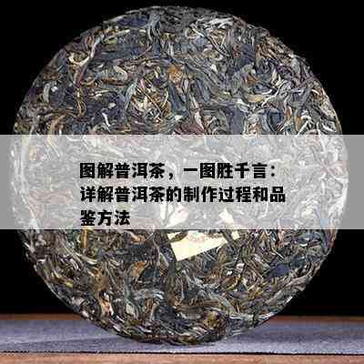 图解普洱茶，一图胜千言：详解普洱茶的制作过程和品鉴方法