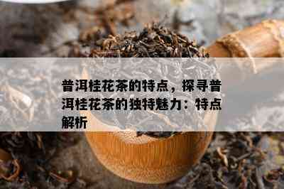 普洱桂花茶的特点，探寻普洱桂花茶的独特魅力：特点解析