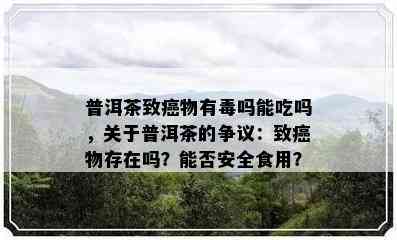 普洱茶致癌物有吗能吃吗，关于普洱茶的争议：致癌物存在吗？能否安全食用？