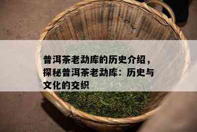 普洱茶老勐库的历史介绍，探秘普洱茶老勐库：历史与文化的交织