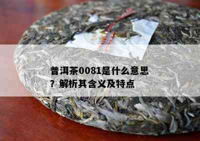 普洱茶0081是什么意思？解析其含义及特点