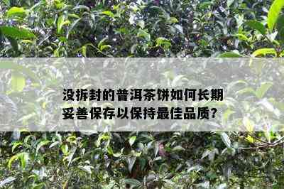 没拆封的普洱茶饼怎样长期妥善保存以保持更佳品质?