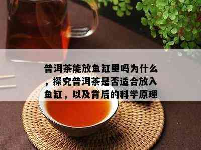 普洱茶能放缸里吗为什么，探究普洱茶是不是适合放入缸，以及背后的科学原理