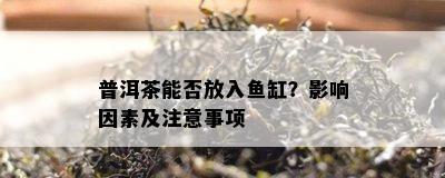 普洱茶能否放入缸？作用因素及留意事项