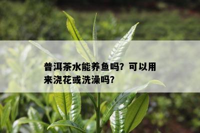 普洱茶水能养吗？可以用来浇花或洗澡吗？