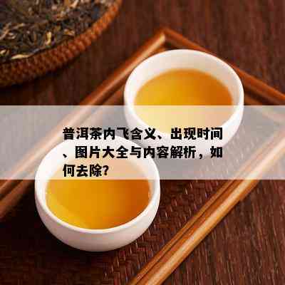 普洱茶内飞含义、出现时间、图片大全与内容解析，怎样去除？