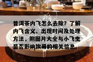 普洱茶内飞怎么去除？熟悉内飞含义、出现时间及解决方法，附图片大全与小飞虫是不是作用饮用的相关信息。