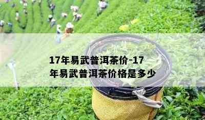 17年易武普洱茶价-17年易武普洱茶价格是多少