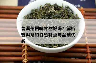 普洱茶回味甘甜好吗？解析普洱茶的口感特点与品质优劣