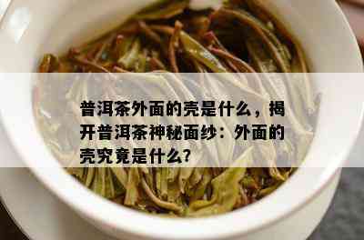 普洱茶外面的壳是什么，揭开普洱茶神秘面纱：外面的壳究竟是什么？