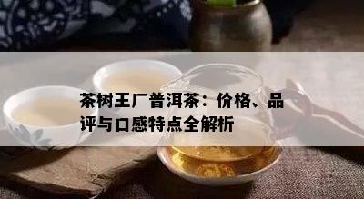 茶树王厂普洱茶：价格、品评与口感特点全解析