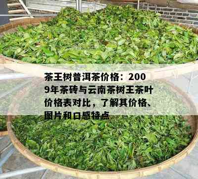 茶王树普洱茶价格：2009年茶砖与云南茶树王茶叶价格表对比，熟悉其价格、图片和口感特点