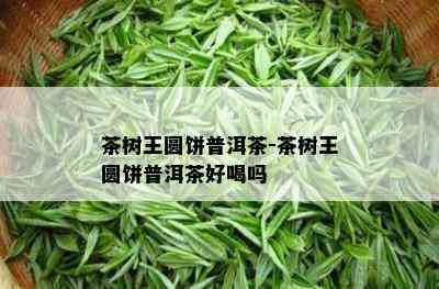 茶树王圆饼普洱茶-茶树王圆饼普洱茶好喝吗